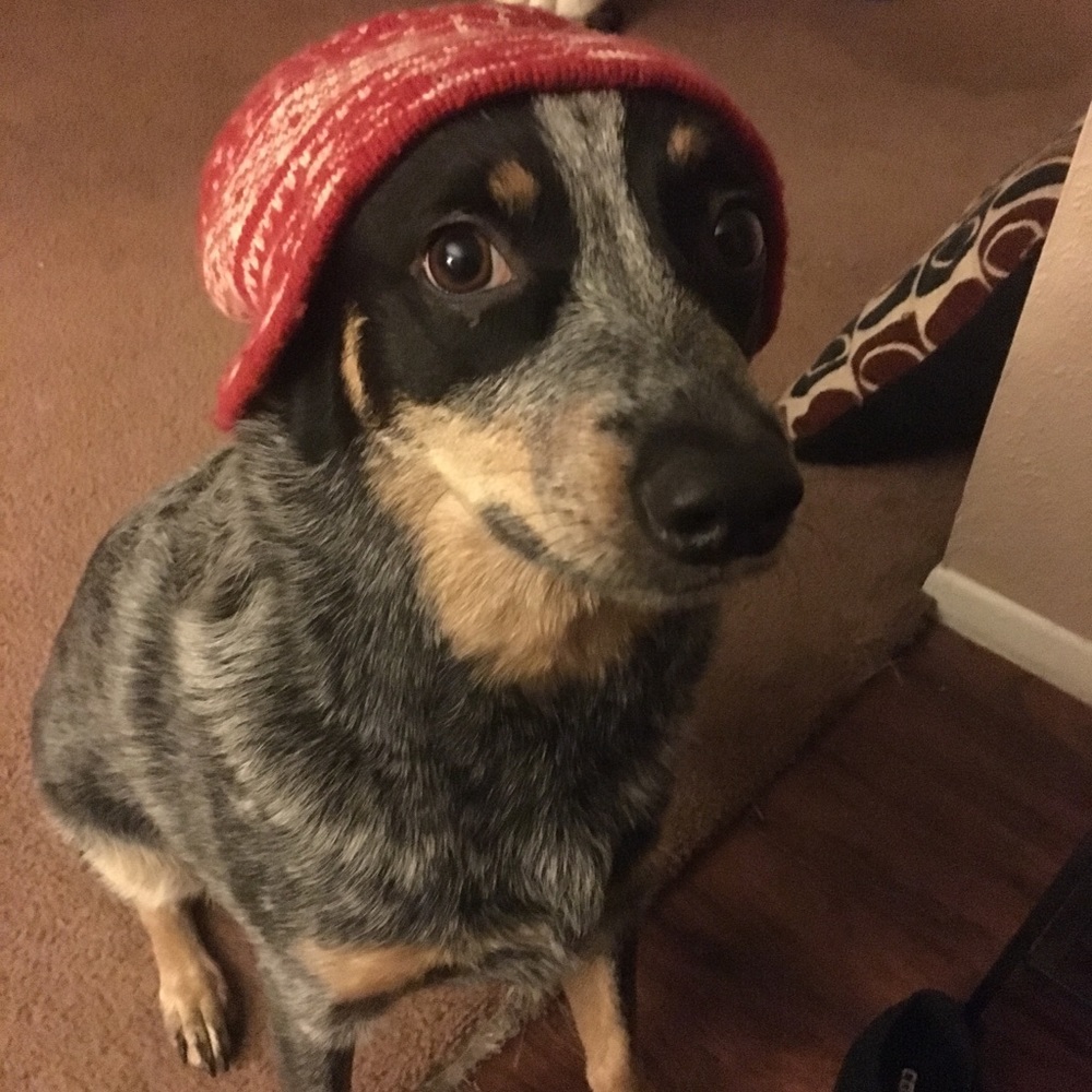 Meet your Posher, Jenny